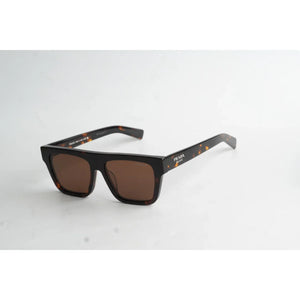 Tortoise Brown