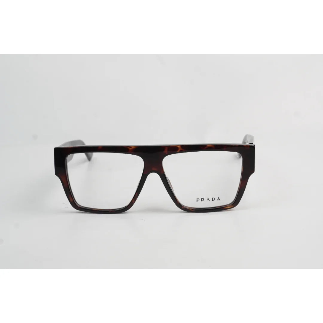 Tortoise Brown
