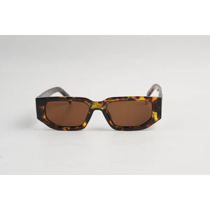 Tortoise Brown