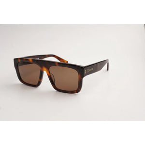 Tortoise Brown