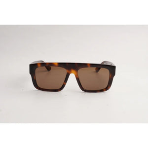 Tortoise Brown