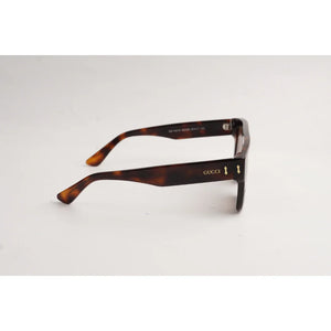 Tortoise Brown