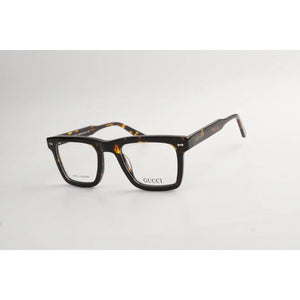 Tortoise Brown