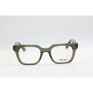 Tortoise Olive Green