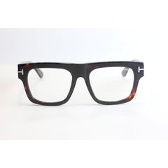 Tortoise Brown