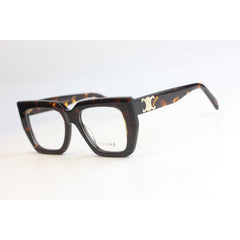 Tortoise Brown