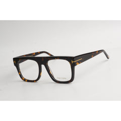 Tortoise Brown