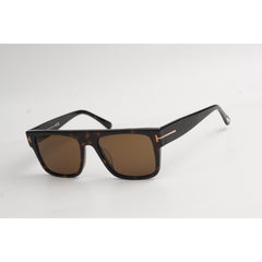 Tortoise Brown