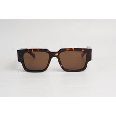 Tortoise Brown