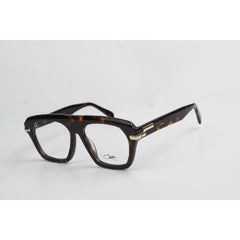 Tortoise Brown