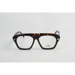 Tortoise Brown