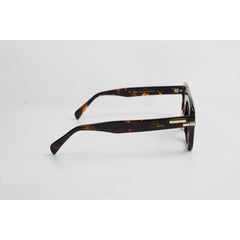 Tortoise Brown