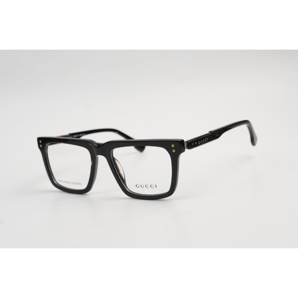 Tortoise Brown