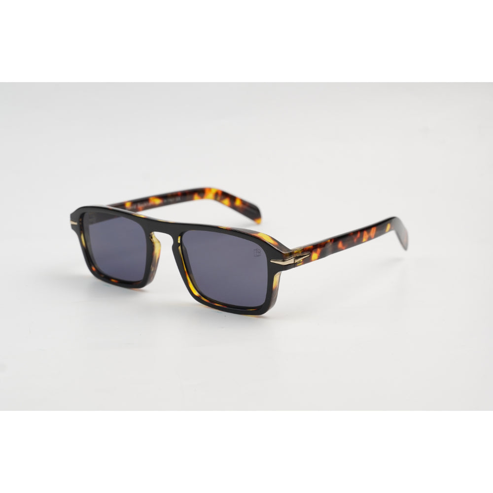 Tortoise Brown