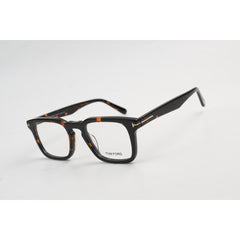 Tortoise Brown