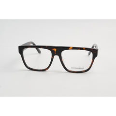 Tortoise Brown