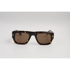 Tortoise Brown
