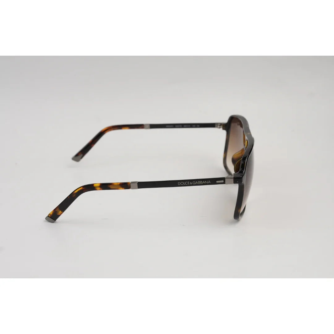 Tortoise Brown Gradient