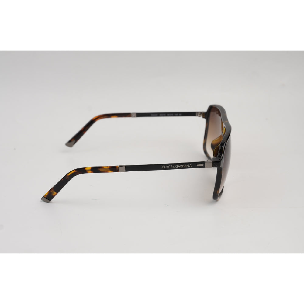 Tortoise Brown Gradient