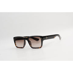 Tortoise Brown