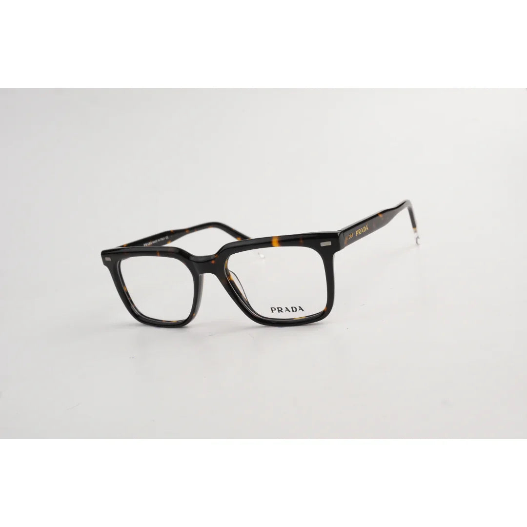 Tortoise Brown