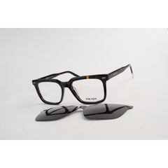 Tortoise Brown