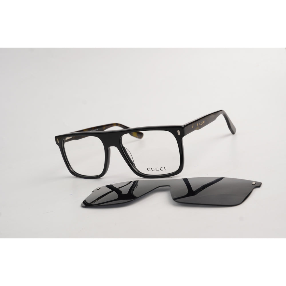 Black Tortoise