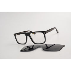 Black Tortoise
