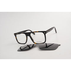 Tortoise Brown
