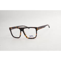 Tortoise Brown