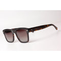 tortoise brown