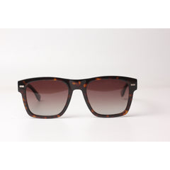 tortoise brown