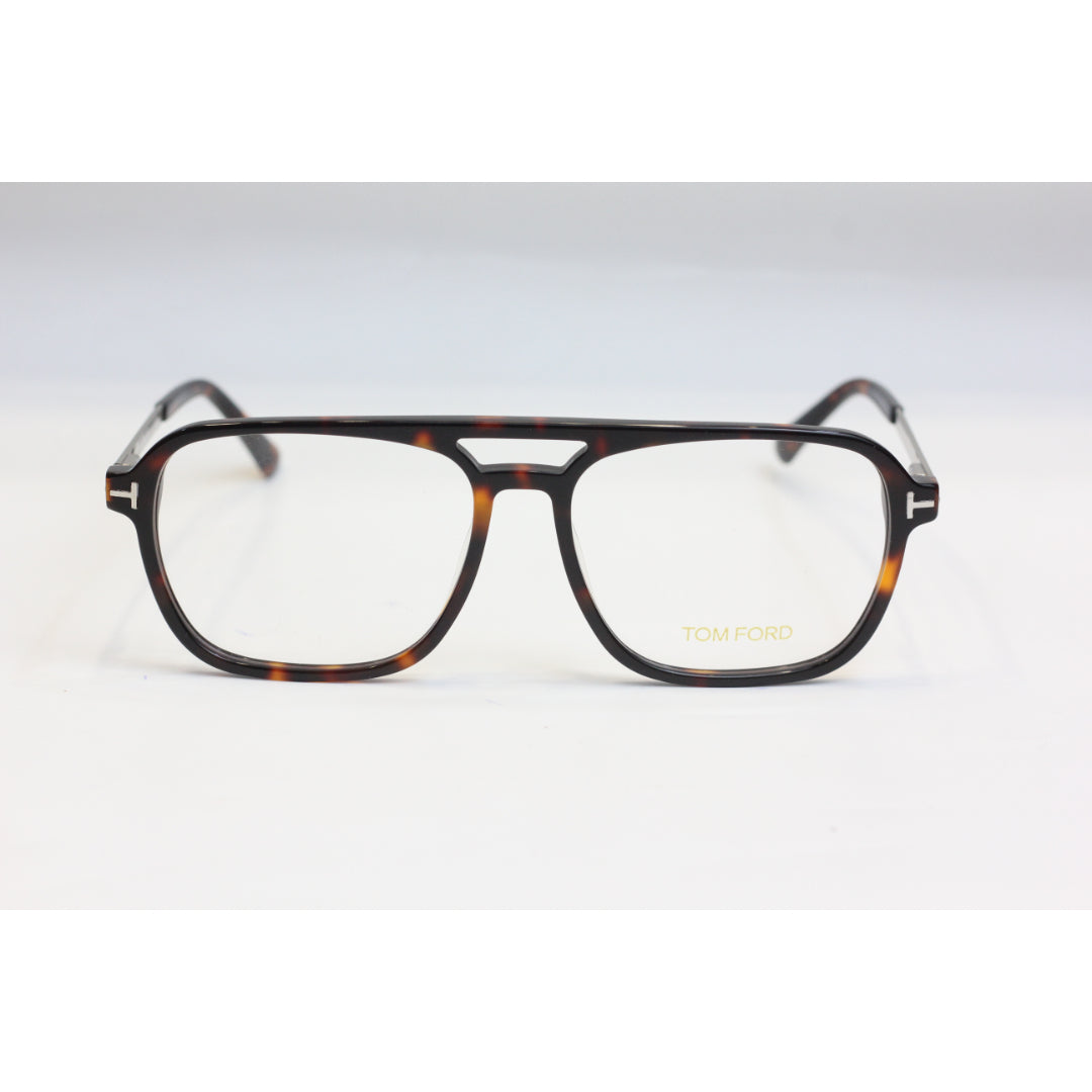 Tortoise Brown