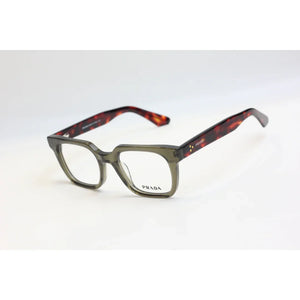 Tortoise Olive Green