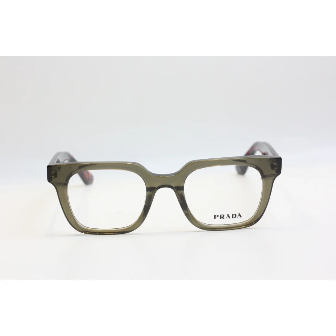 Tortoise Olive Green