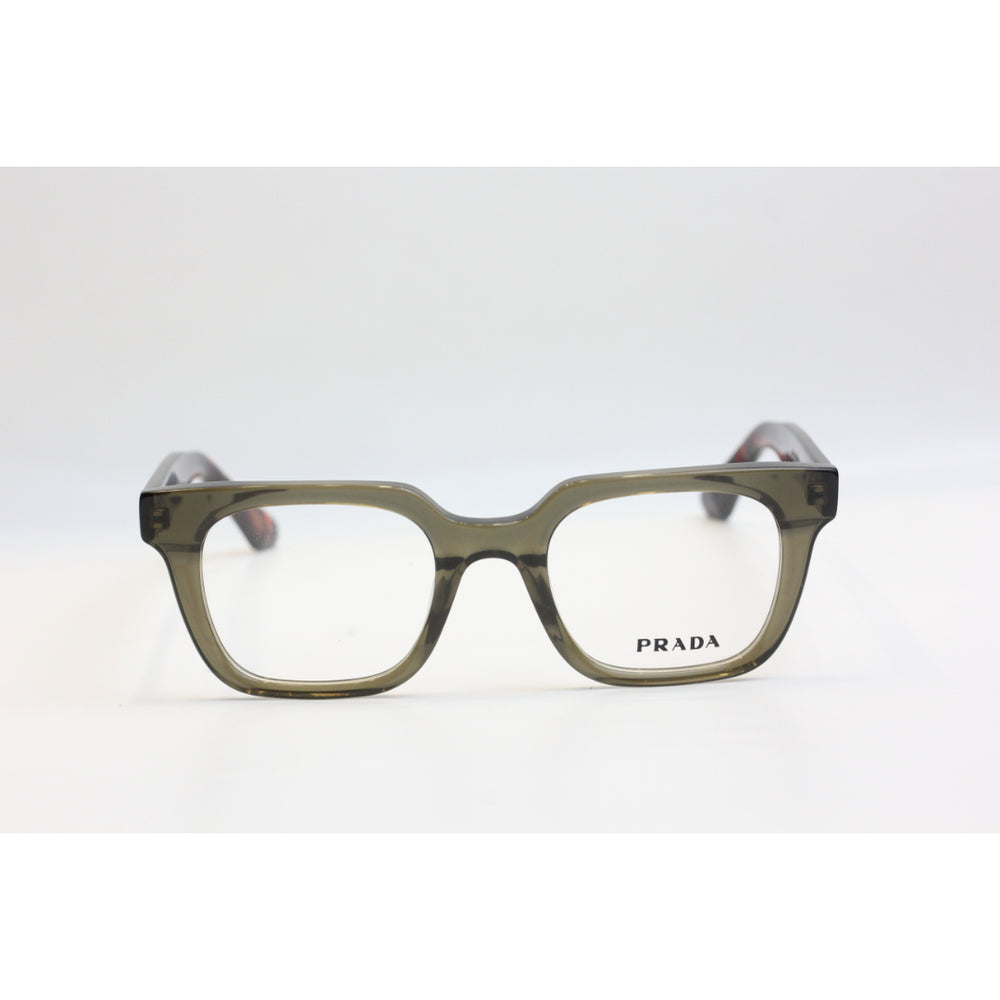 Tortoise Olive Green
