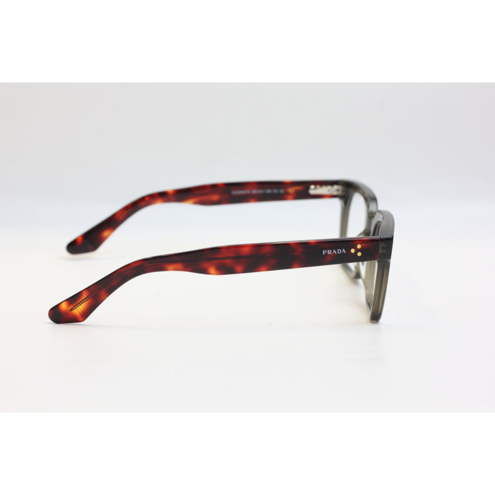 Tortoise Olive Green