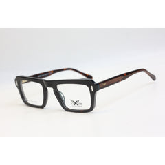 Tortoise Brown