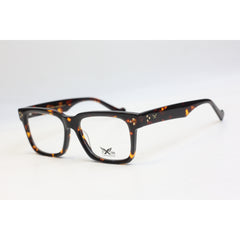 Tortoise Brown