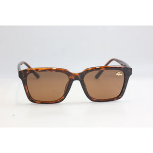 Tortoise Brown