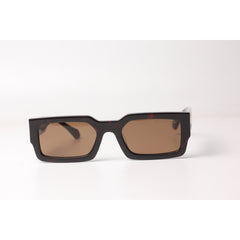 tortoise brown