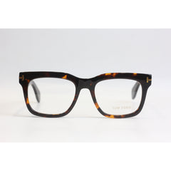 Tortoise Brown