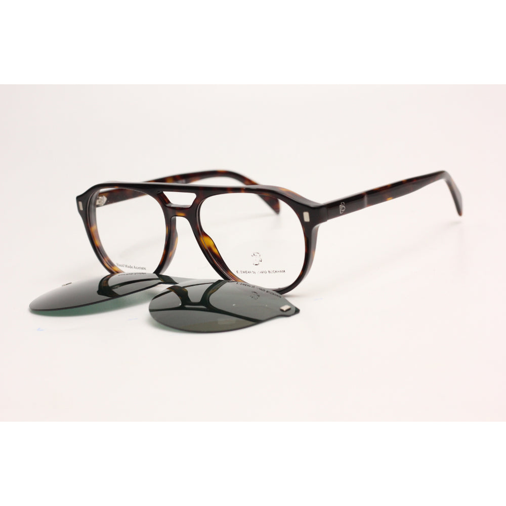 Tortoise Brown