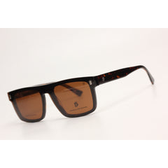 Tortoise Brown