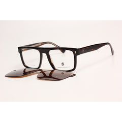 Tortoise Brown