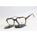 Tortoise Brown