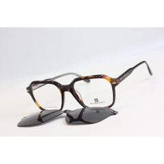 Tortoise Brown
