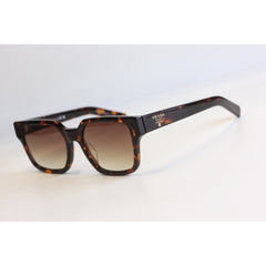 Tortoise Brown