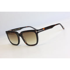 Tortoise Brown